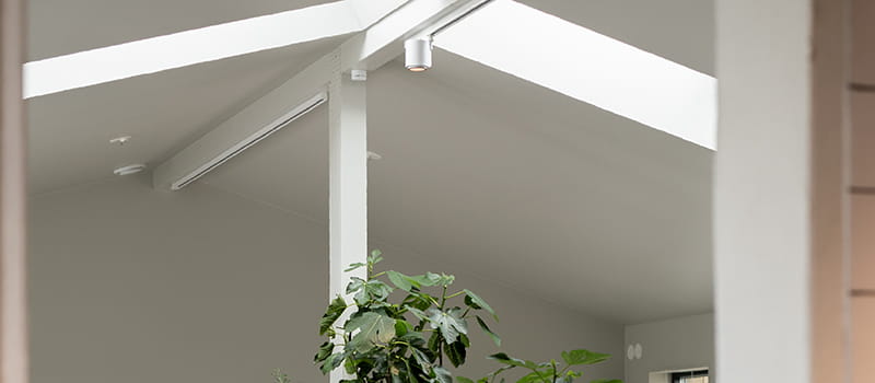 Kiskovalaisimet liiketilaan