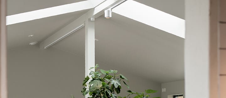 Kiskovalaisimet liiketilaan