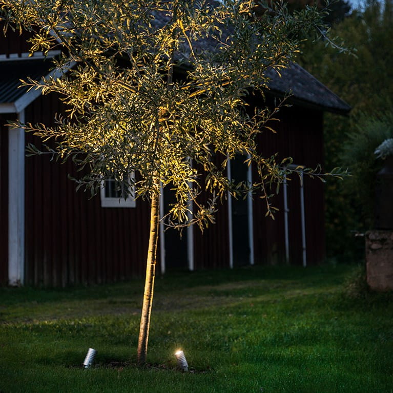 Puun valaistus LED-kohdevalaisimilla