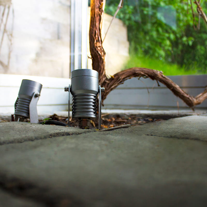 Kohdevalaistus korostaa kasvillisuutta