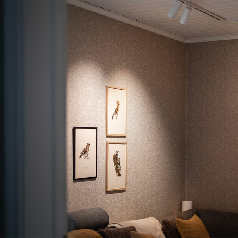 Kiskovalaisimet olohuoneeseen