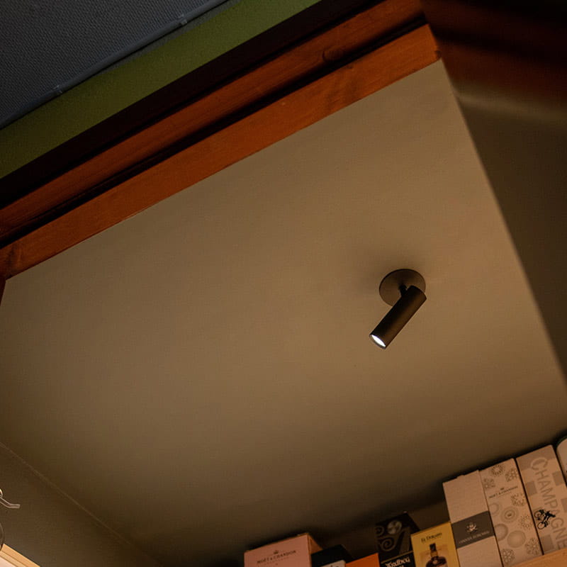 Optic Spot kiskovalaisin