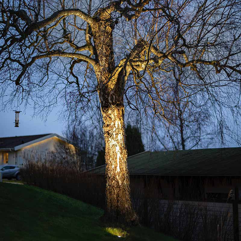 Valaisemalla pihan puita luot tunnelmaa sekä pihan hahmottaminen helpottuu