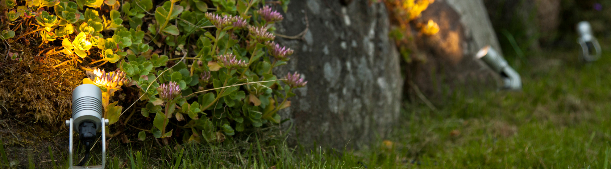 Spotlight Garden Kit belyser en steinmur og dens vegetasjon.