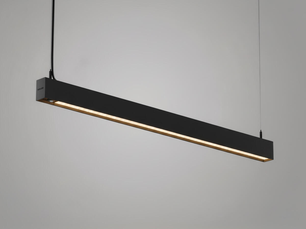 Actor G2 Pendant DP Black Casambi PIR