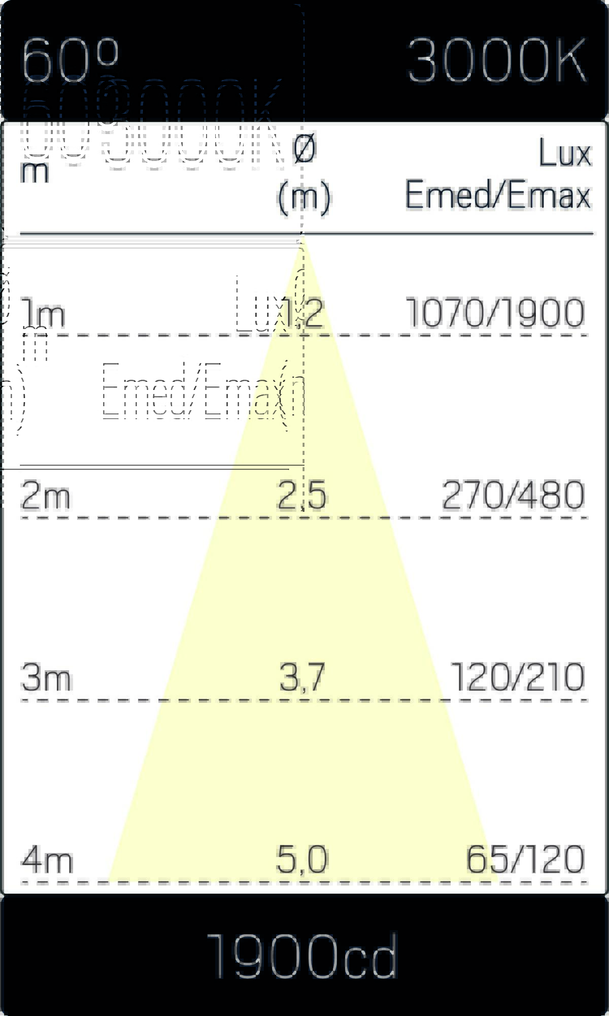 7402955m3.jpg