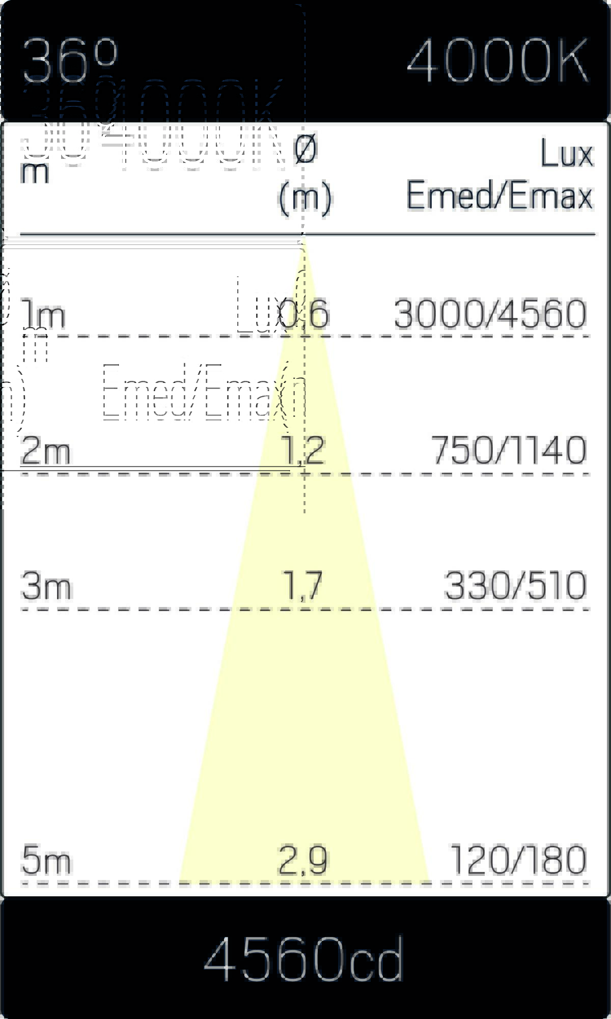 7402957m3.jpg