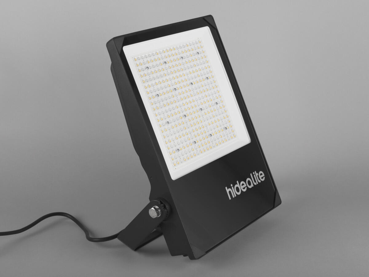 Scout G2 XL 4000K Asym