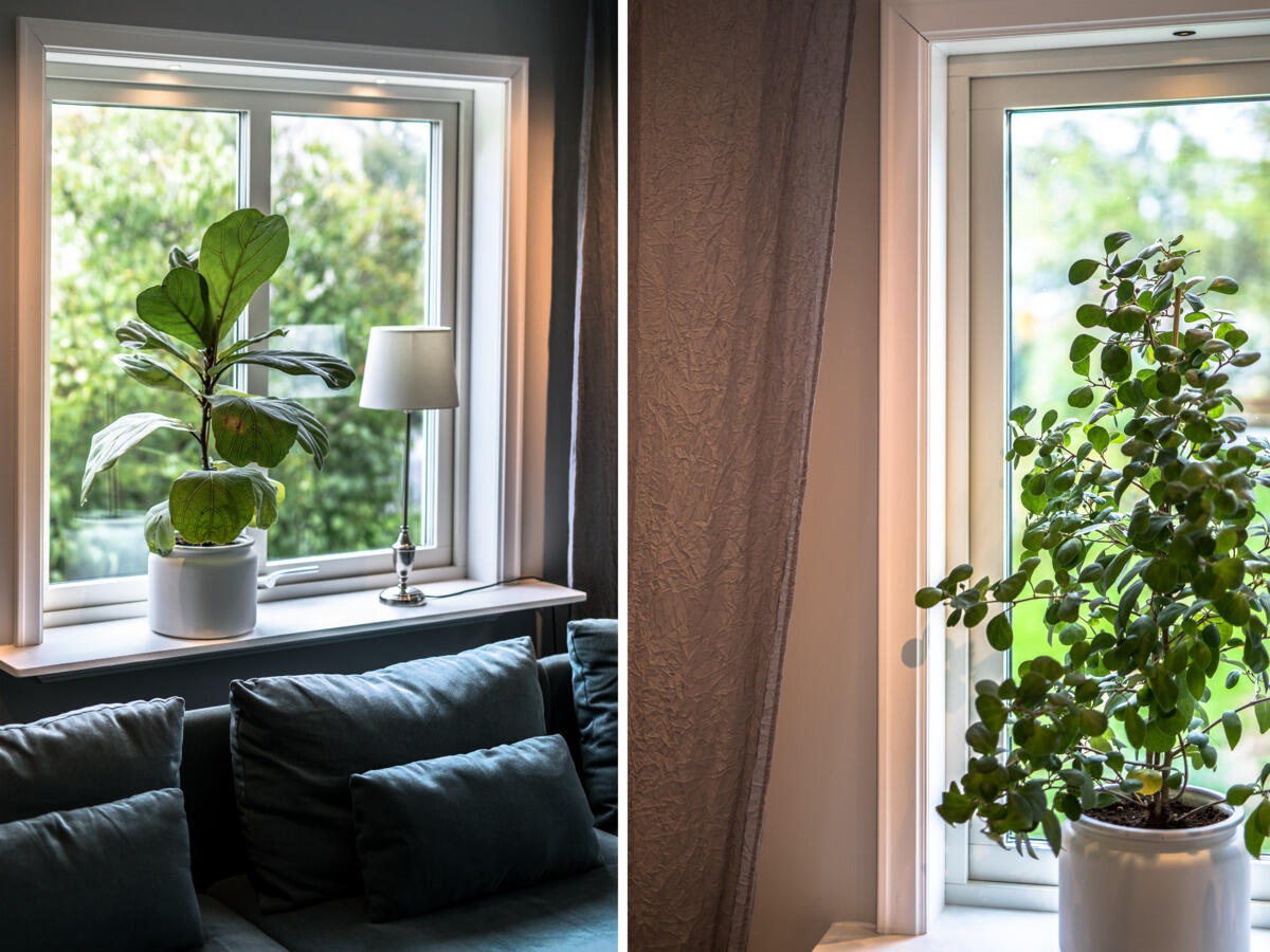 Core Smart 45° 10 pack