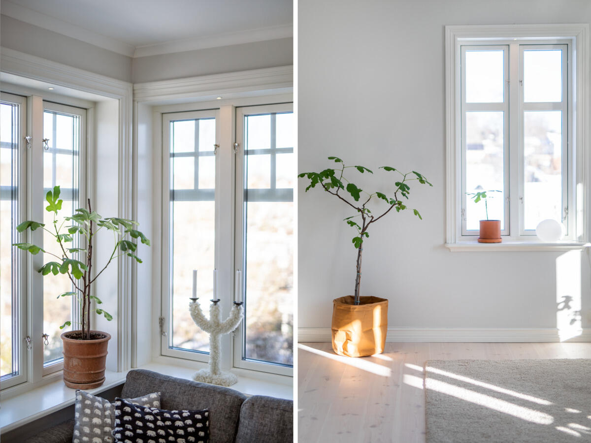 Core Smart 45° 10 pack