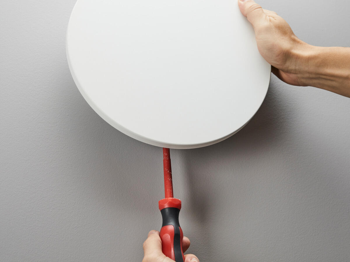 Koristekehys Circo M