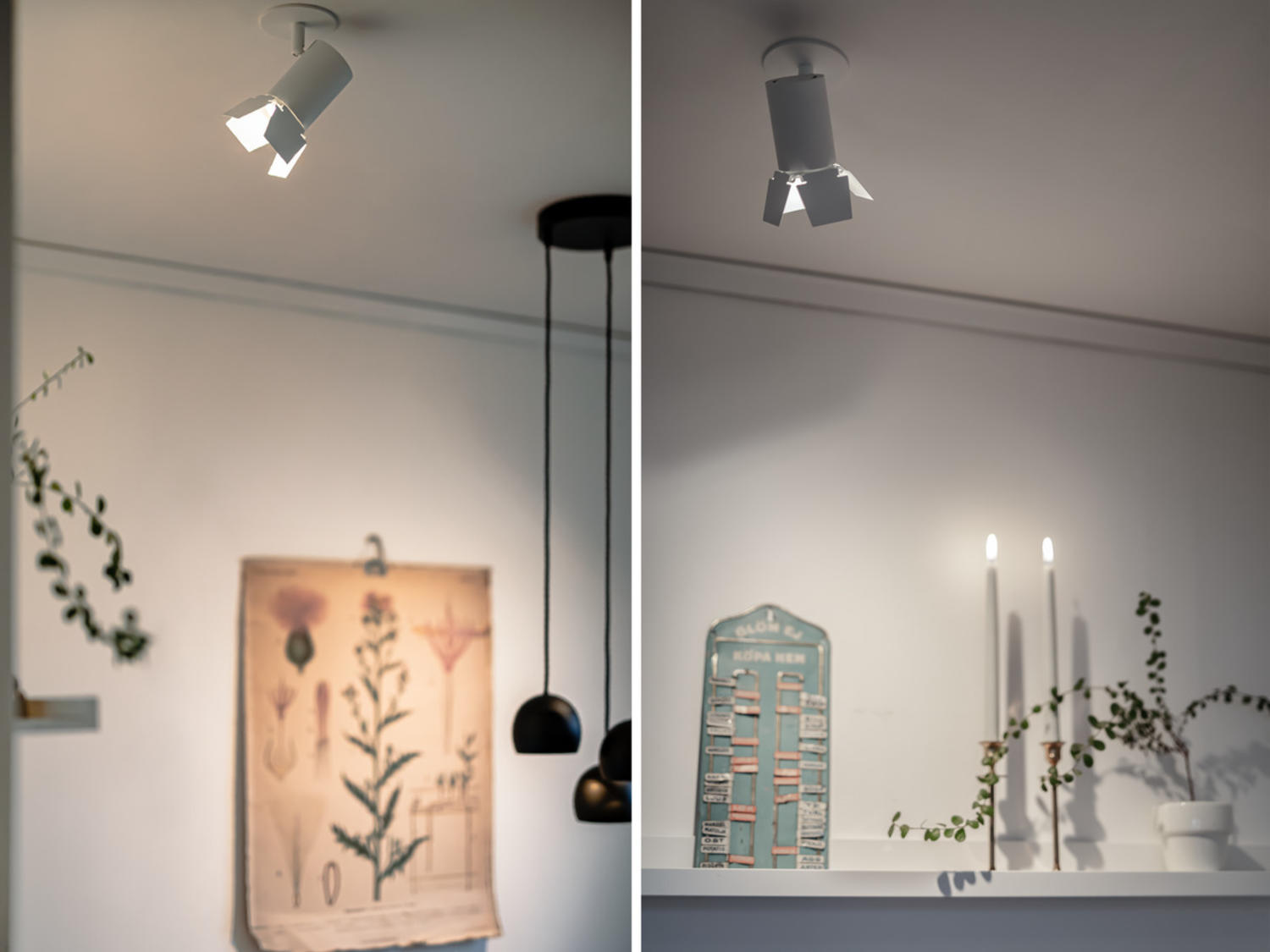 Hide a light spot deals