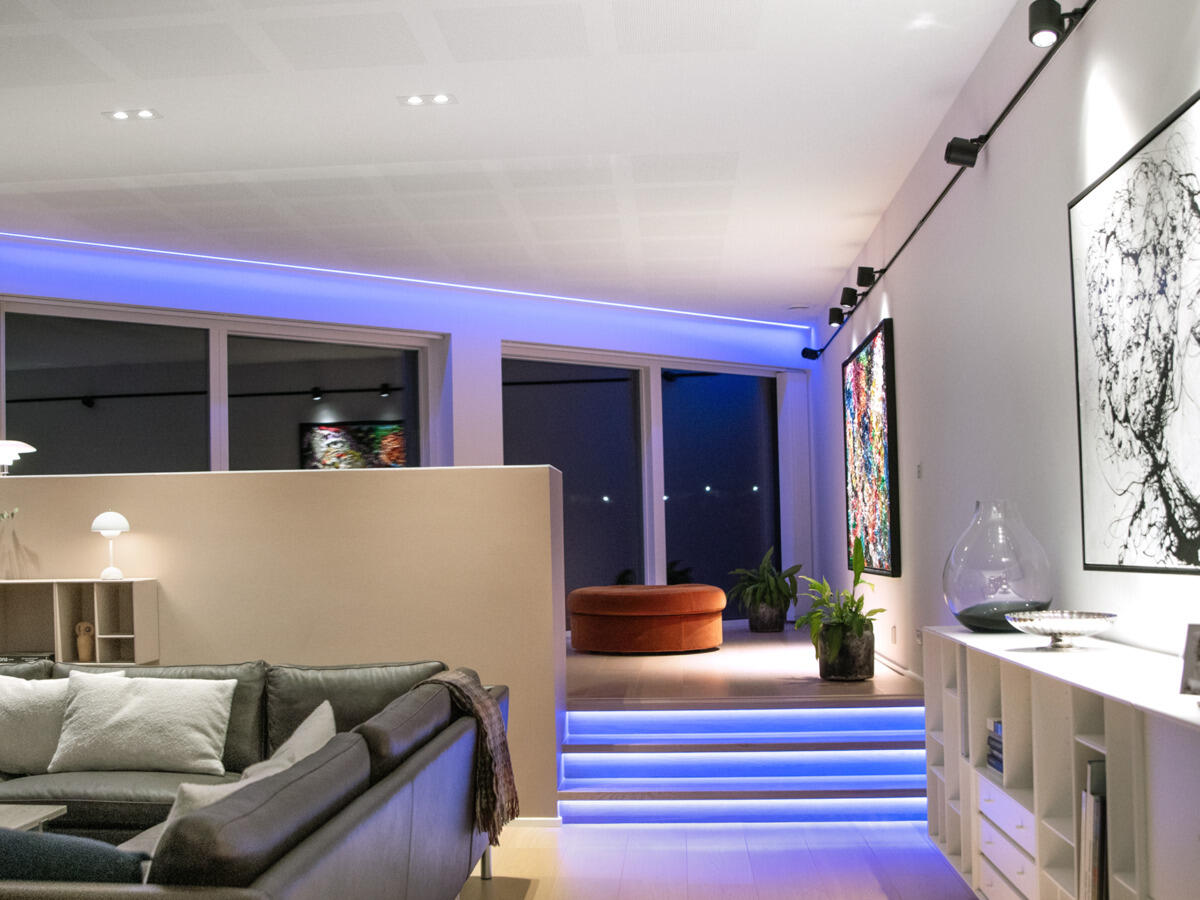 LEDstrip 24V IP20 TW/RGB/RGBW