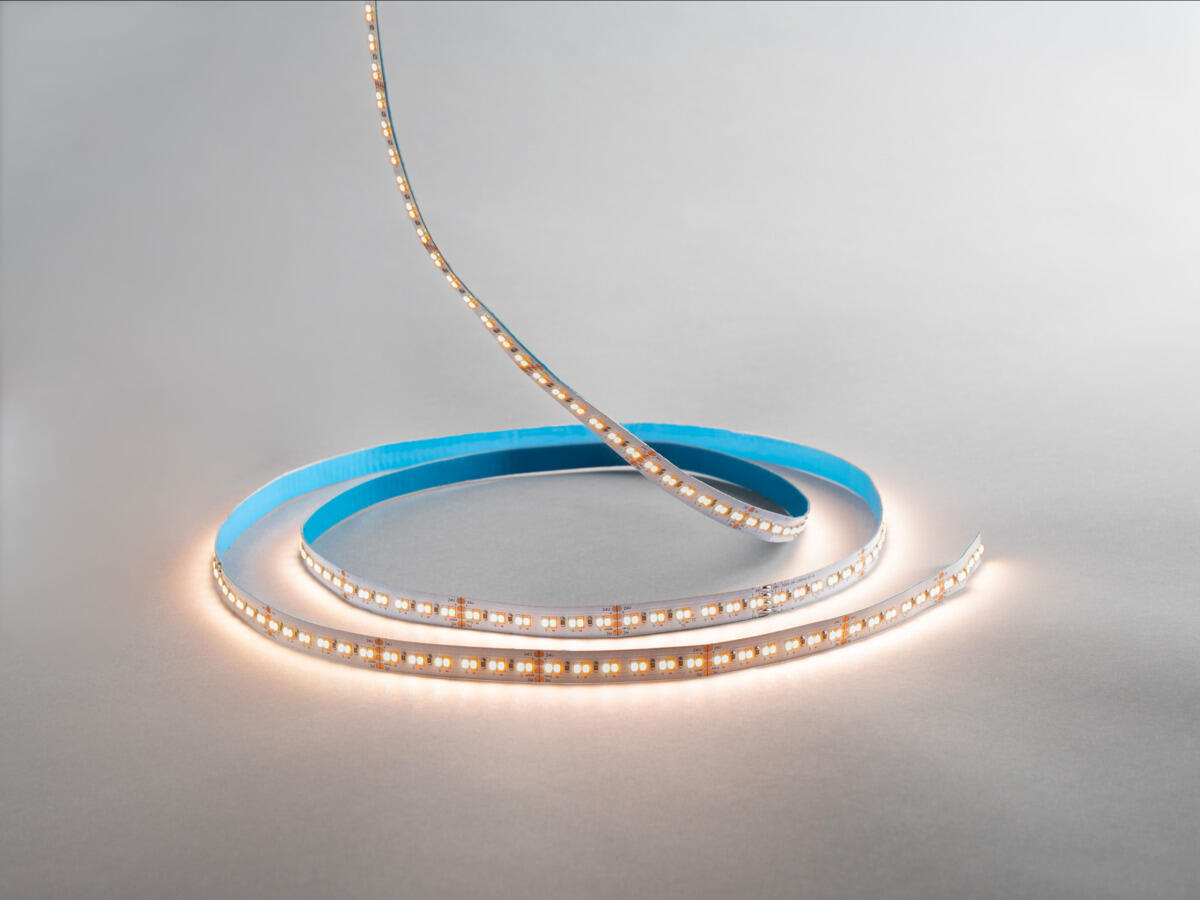 LEDstrip 24V IP20 TW/RGB/RGBW