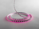 LEDstrip24VIP20RGBW_w.tif