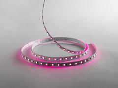 LEDstrip 24V IP20 TW/RGB/RGBW