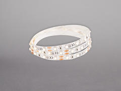 LEDstrip 12V R IP20