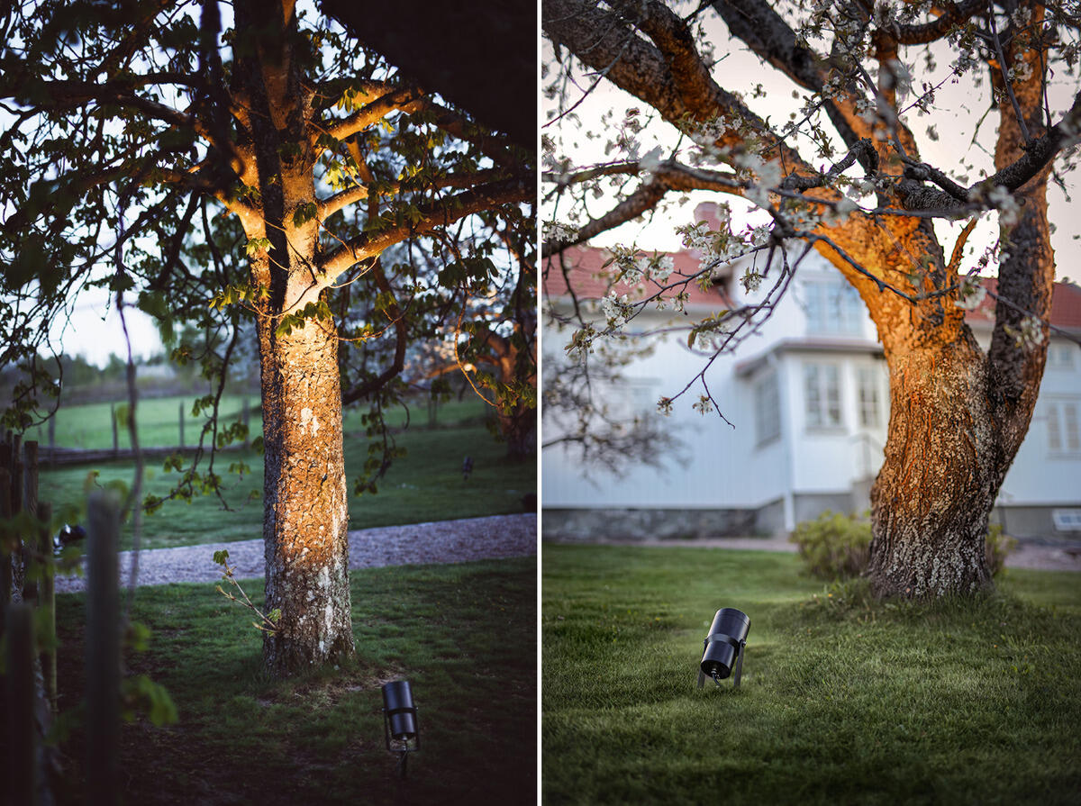 Ground Spike Spot It