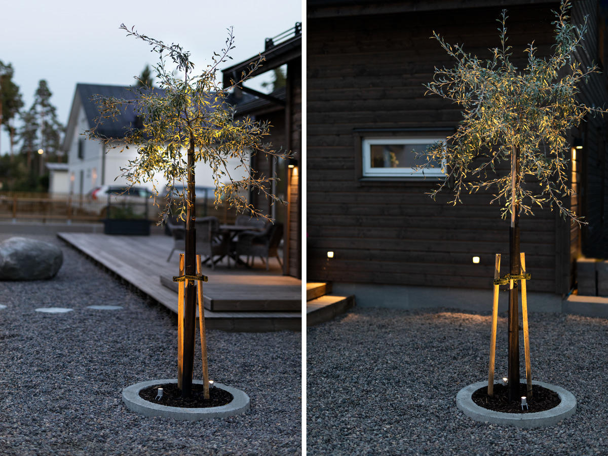 spotlightgardenkit_w4.tif