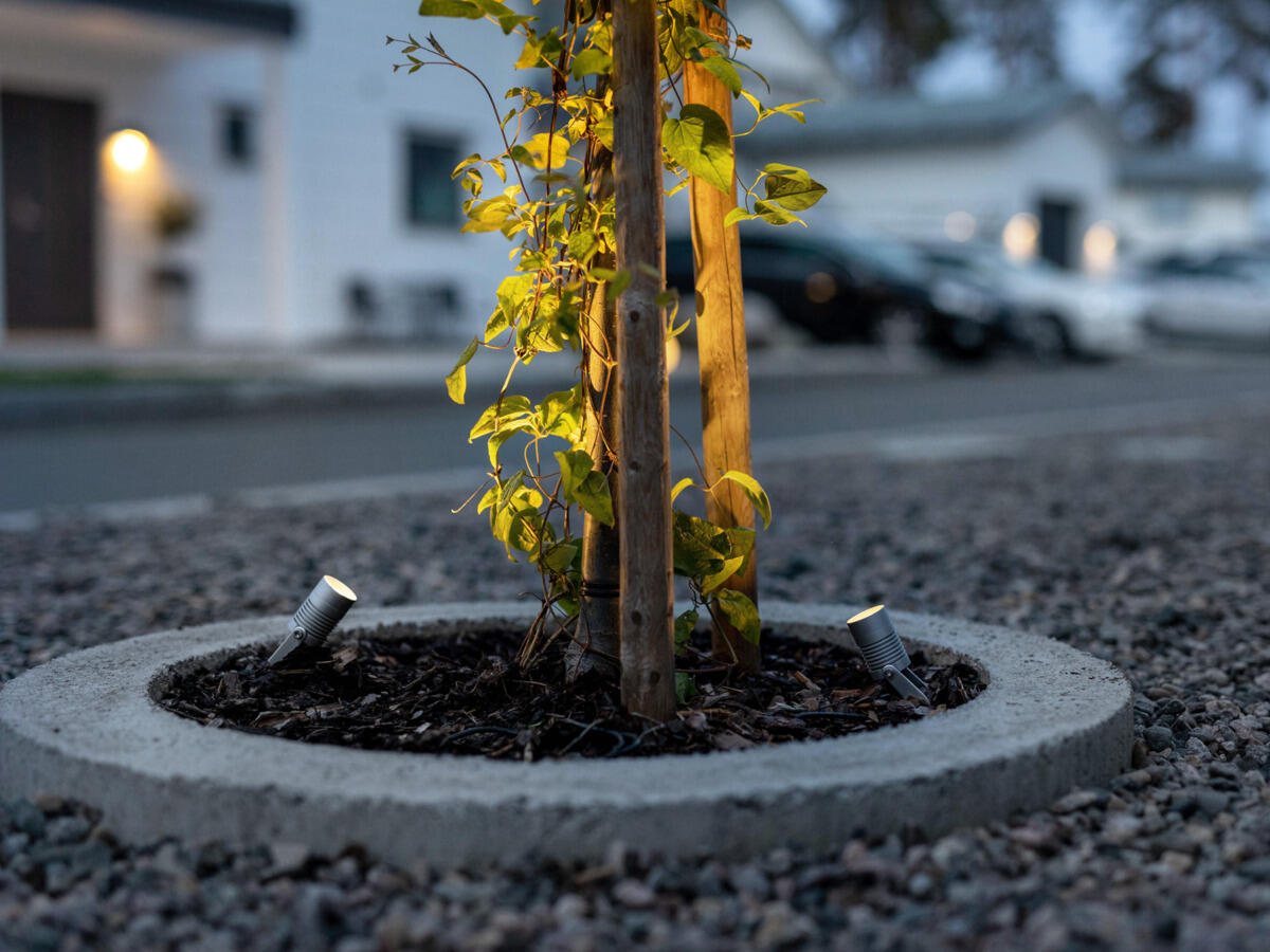 Spotlight Garden Kit